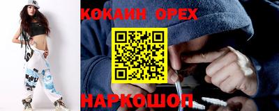 шишки Кимры