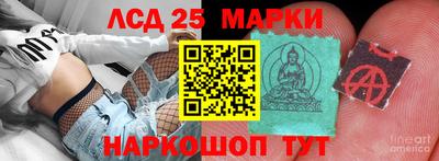 шишки Кимры
