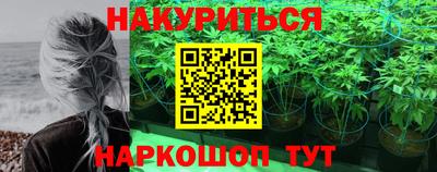 гидра Кингисепп