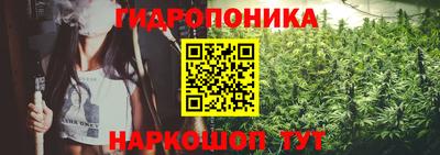 гидра Кингисепп