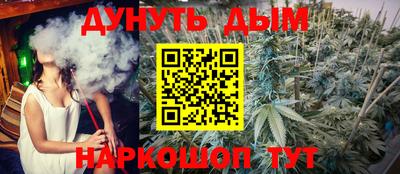 шишки Кимры