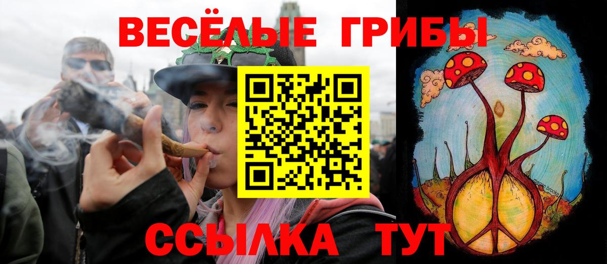 Псилоцибиновые грибы мухоморы Домодедово